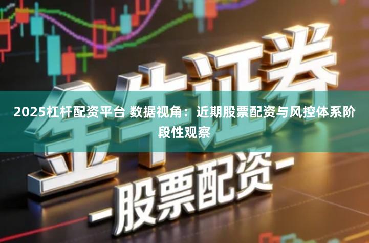 2025杠杆配资平台 数据视角：近期股票配资与风控体系阶段性观察