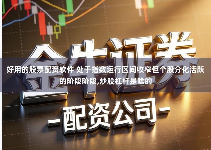 好用的股票配资软件 处于指数运行区间收窄但个股分化活跃的阶段阶段,炒股杠杆是啥的